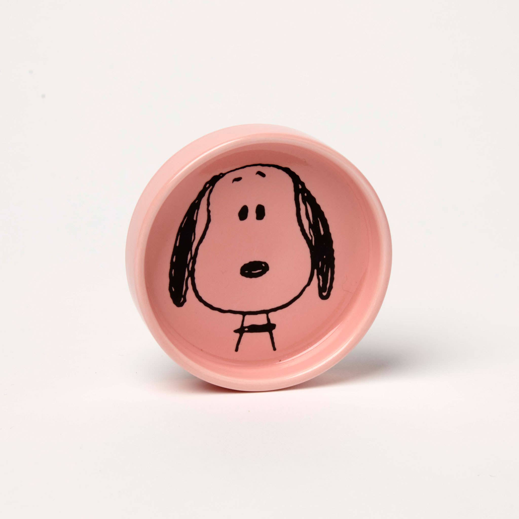 Snoopy Pin Dish - Visage