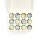 The Chocolate Detective Chocolate Bird Eggs