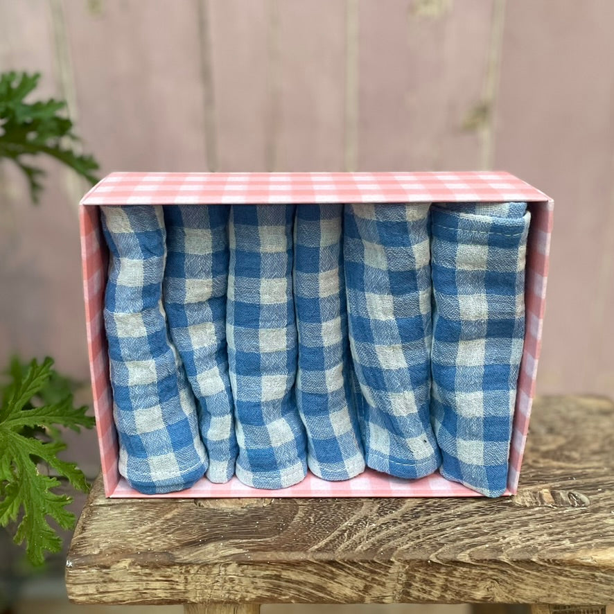Set of Small Blue Gingham Napkins