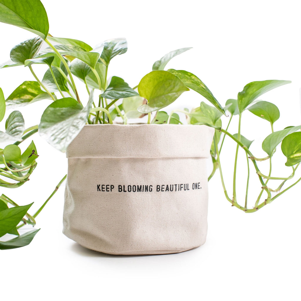 "Keep Blooming" Canvas Plant Pot Holder