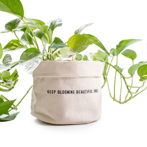 "Keep Blooming" Canvas Plant Pot Holder
