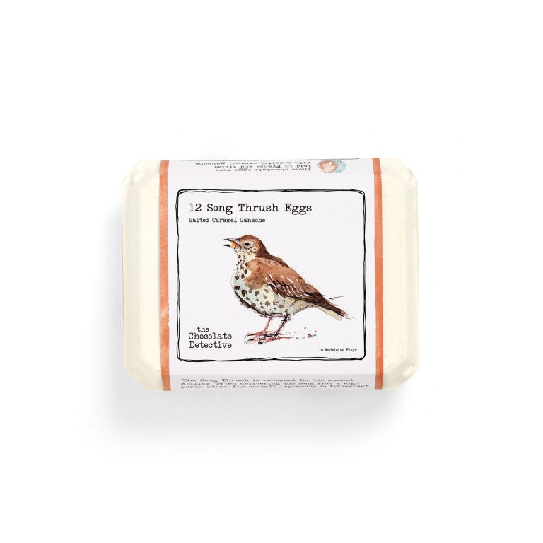 The Chocolate Detective Chocolate Bird Eggs