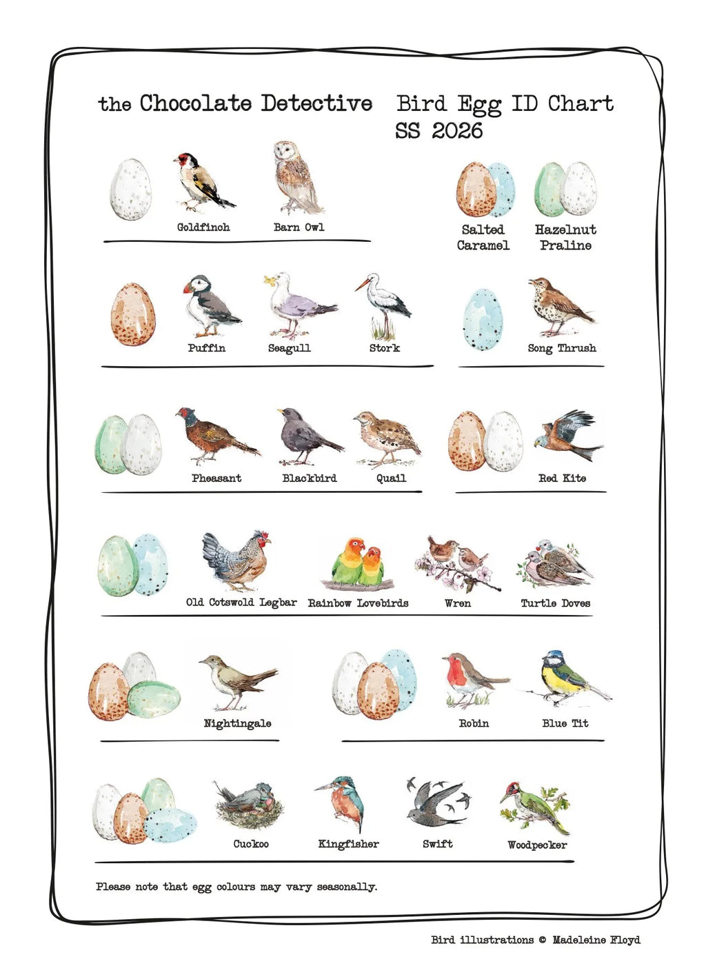 The Chocolate Detective Chocolate Bird Eggs