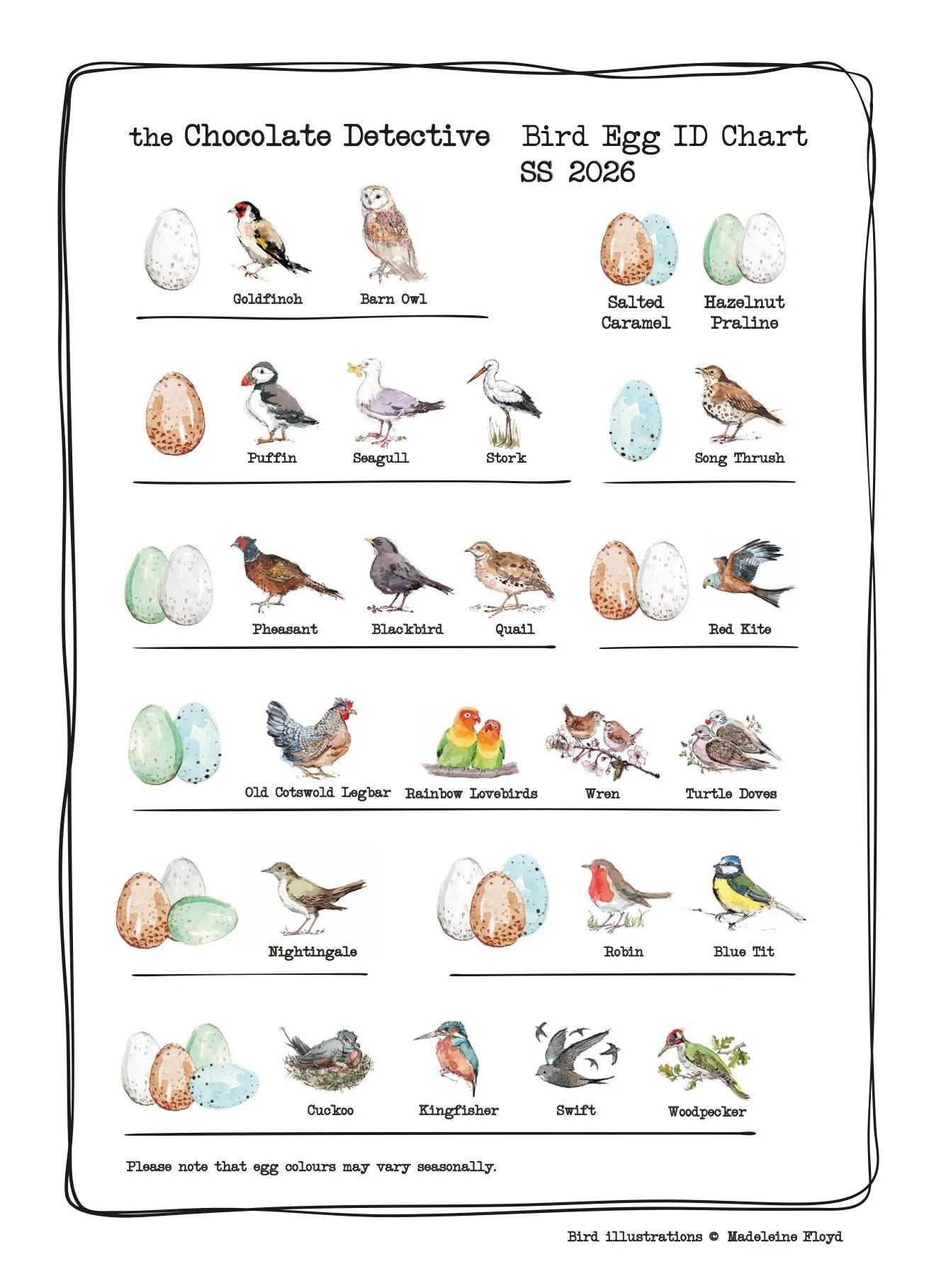 The Chocolate Detective Chocolate Bird Eggs