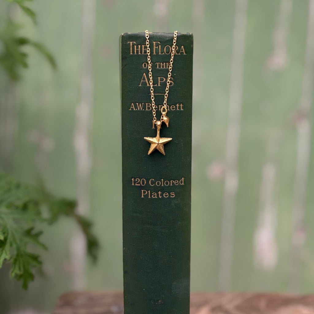 Milagro Star Necklace