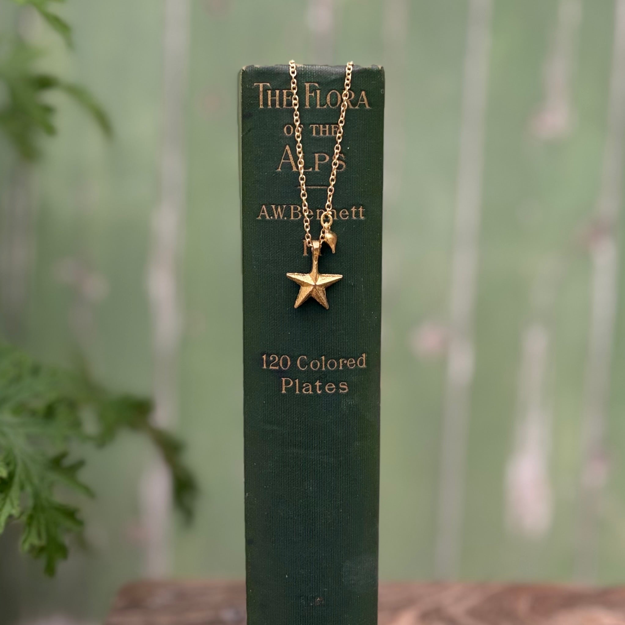 Milagro Star Necklace