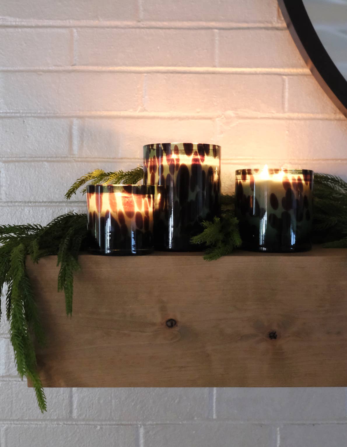 Botanica Candle ~ Fraser Fir