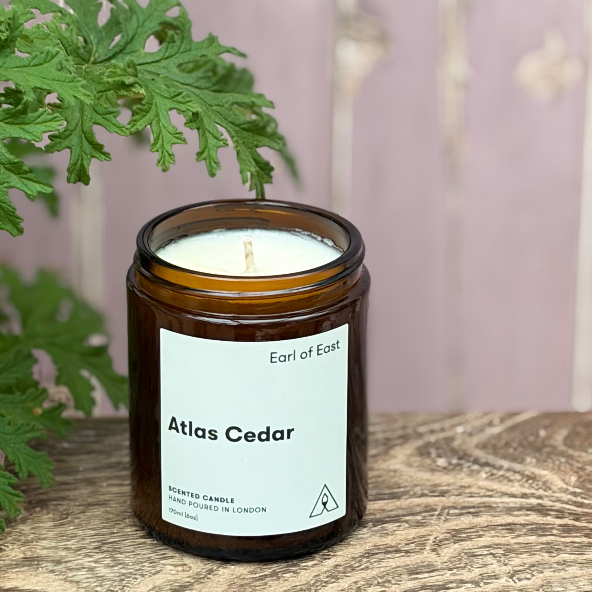 Earl of East Atlas Cedar Jar Candle