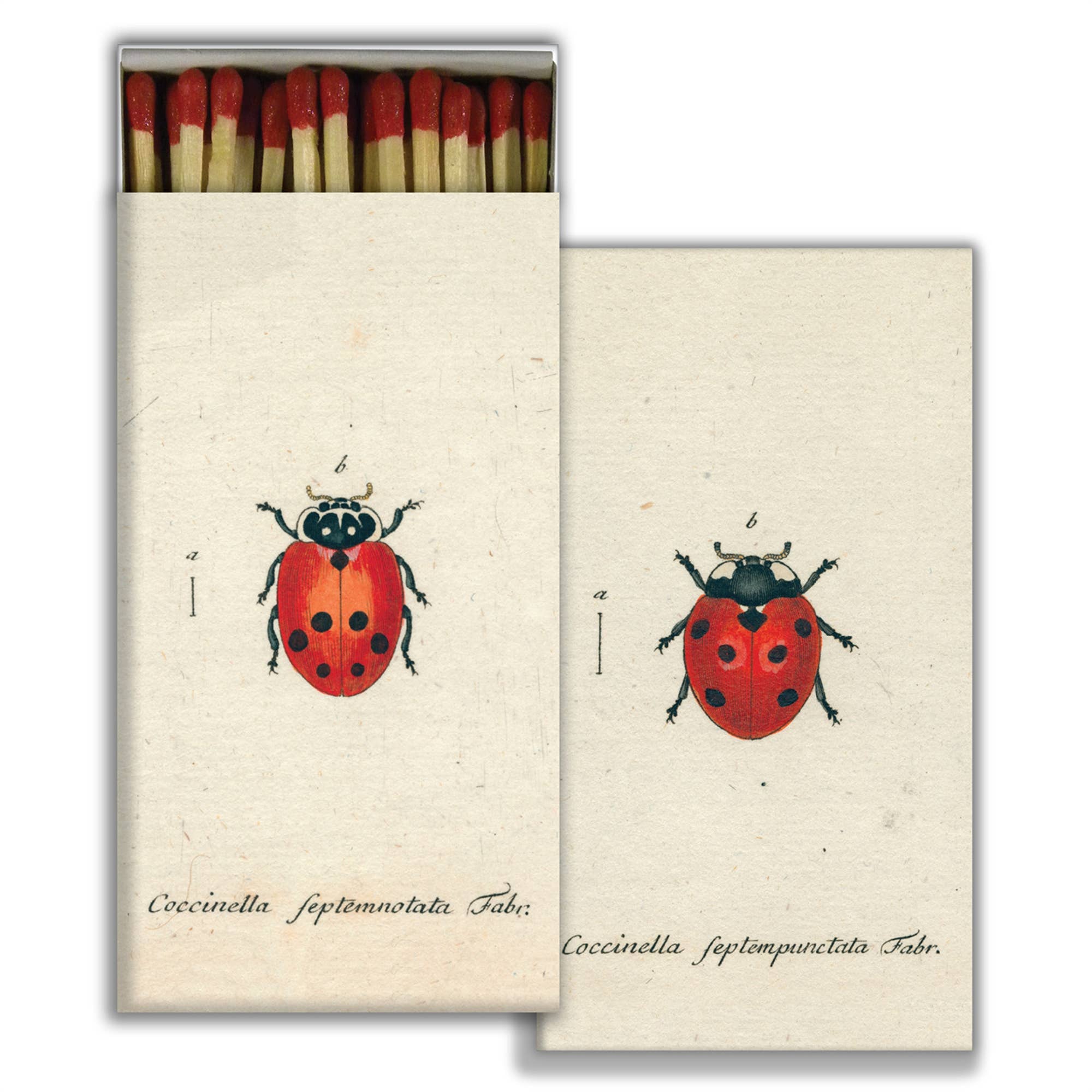 HomArt Safety Matches John Derian collaboration
