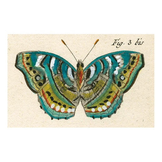 John Derian Postcards