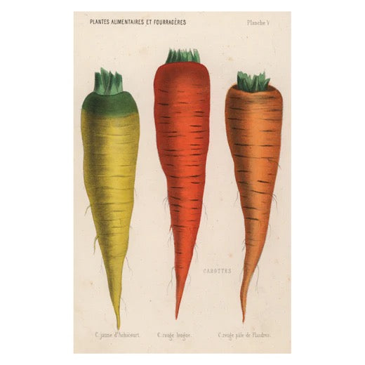 John Derian Postcards