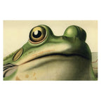John Derian Postcards
