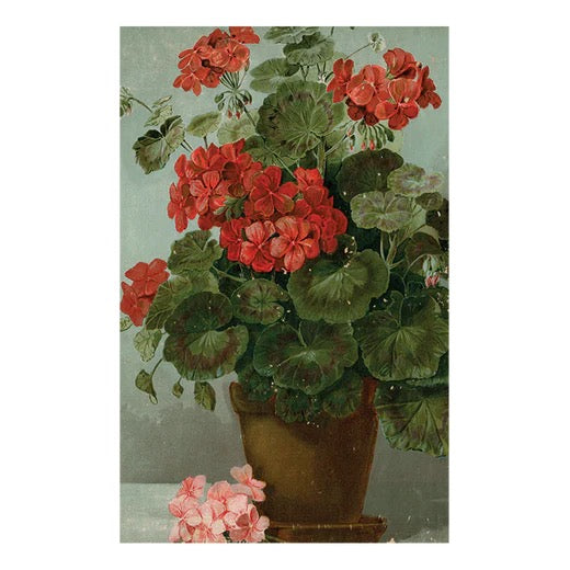 John Derian Postcards
