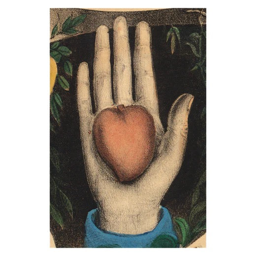 John Derian Postcards
