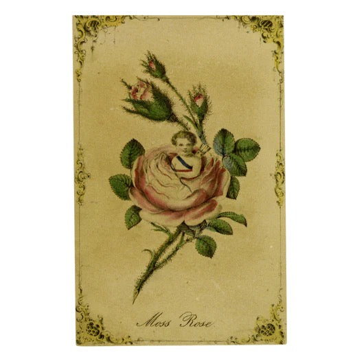 John Derian Postcards