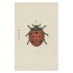 John Derian Postcards