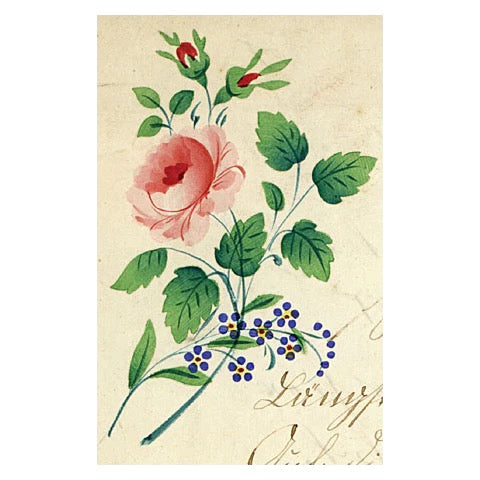 John Derian Postcards