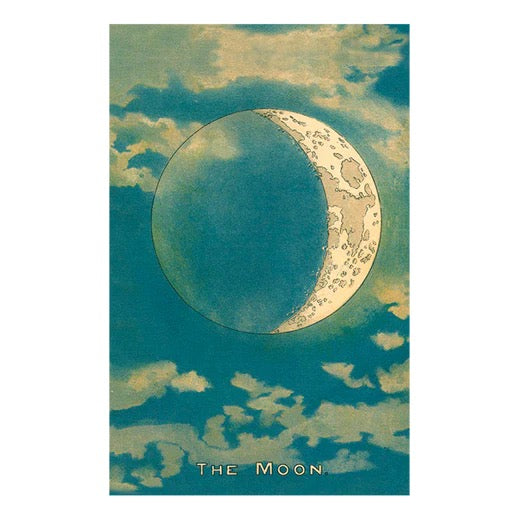 John Derian Postcards