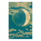 John Derian Postcards