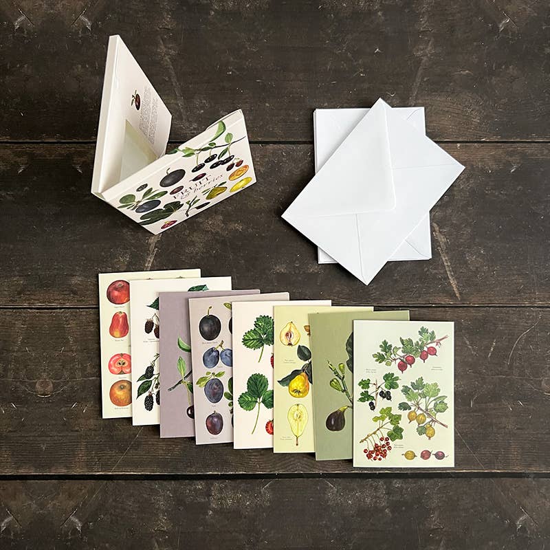 Koustrup & Co Note Cards ~  Fruit & Berries