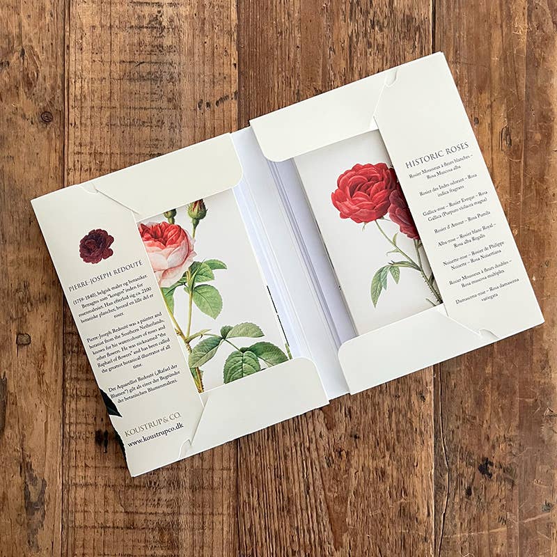 Koustrup & Co Note Cards ~ Historic Roses