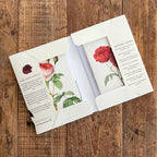 Koustrup & Co Note Cards ~ Historic Roses