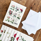 Koustrup & Co Note Cards ~ Historic Roses