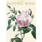 Koustrup & Co Note Cards ~ Historic Roses