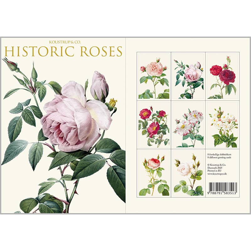 Koustrup & Co Note Cards ~ Historic Roses
