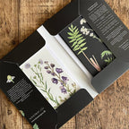 Koustrup & Co Note Cards ~ Monastery Garden