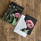 Koustrup & Co Note Cards ~ Monastery Garden