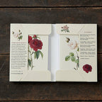 Koustrup & Co Note Cards ~ Old Roses