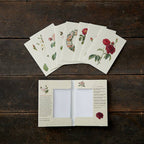 Koustrup & Co Note Cards ~ Old Roses