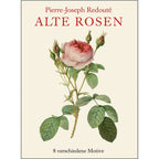 Koustrup & Co Note Cards ~ Old Roses