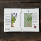 Koustrup & Co Note Cards ~ Spring Flowers