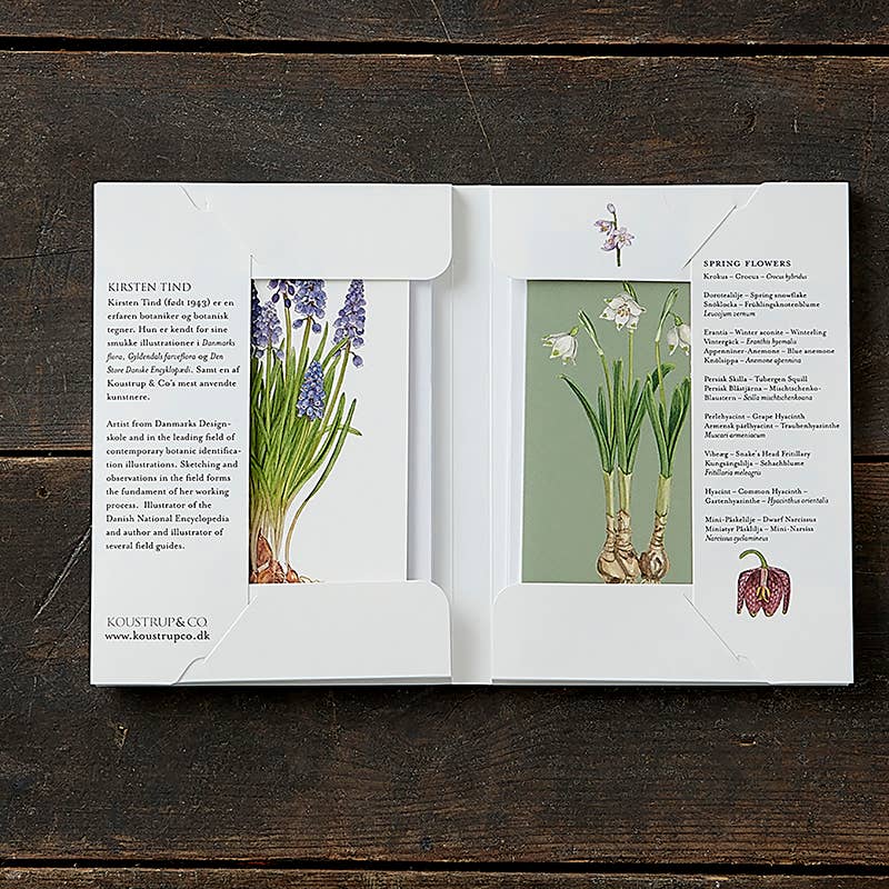 Koustrup & Co Note Cards ~ Spring Flowers