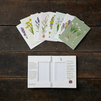 Koustrup & Co Note Cards ~ Spring Flowers