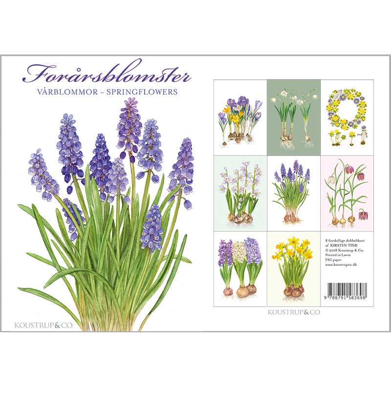Koustrup & Co Note Cards ~ Spring Flowers