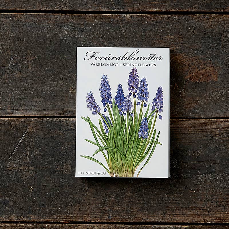 Koustrup & Co Note Cards ~ Spring Flowers