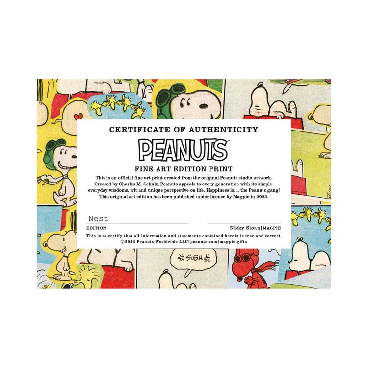Peanuts Snoopy Frames