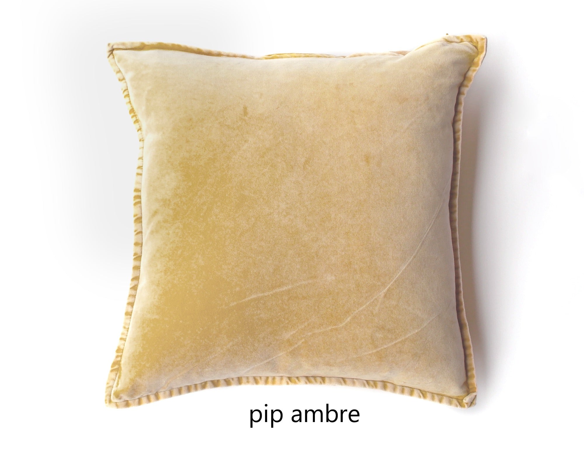 Pip Velvet Cushion