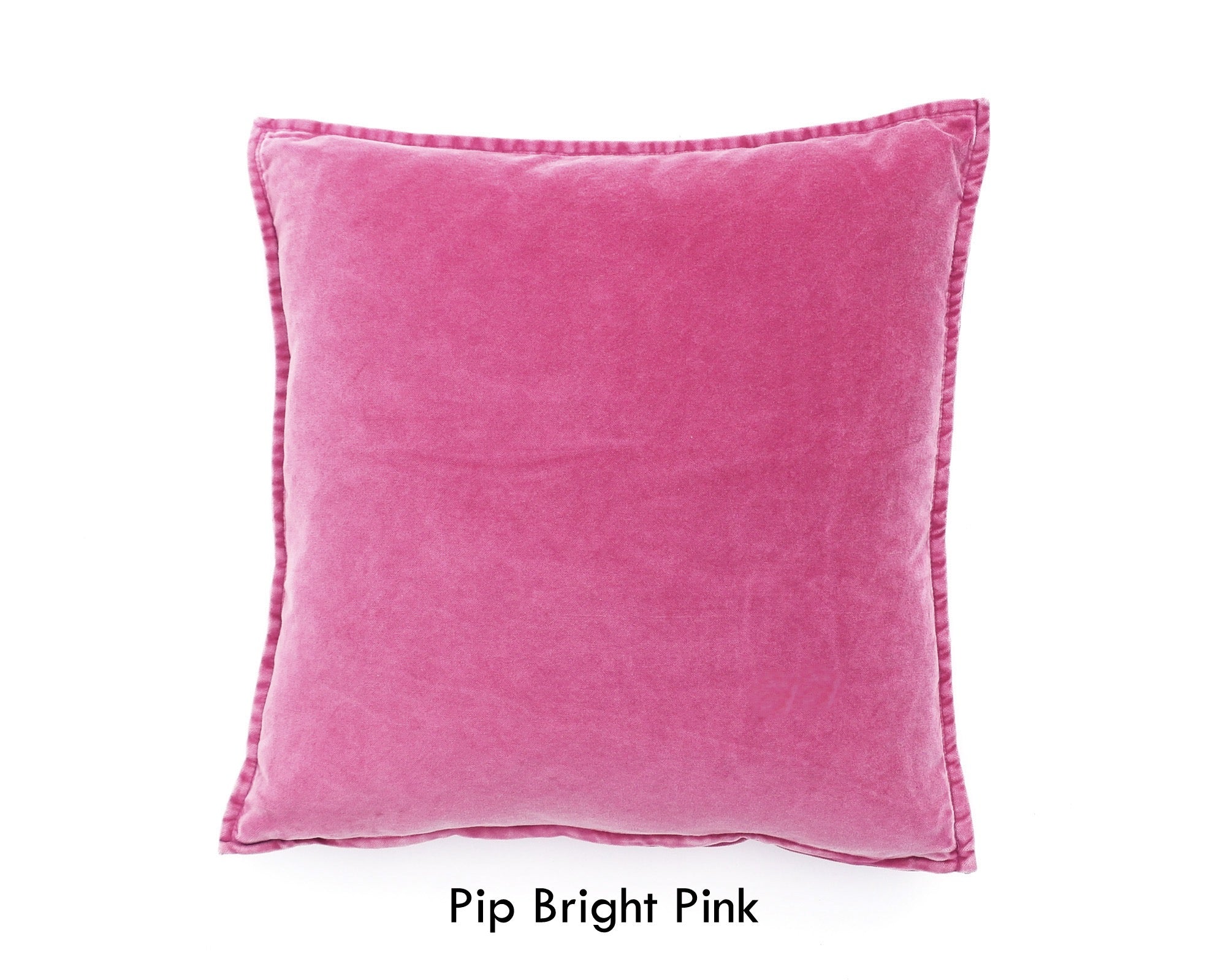 Pip Velvet Cushion
