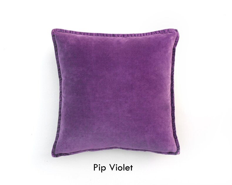 Pip Velvet Cushion