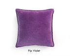 Pip Velvet Cushion