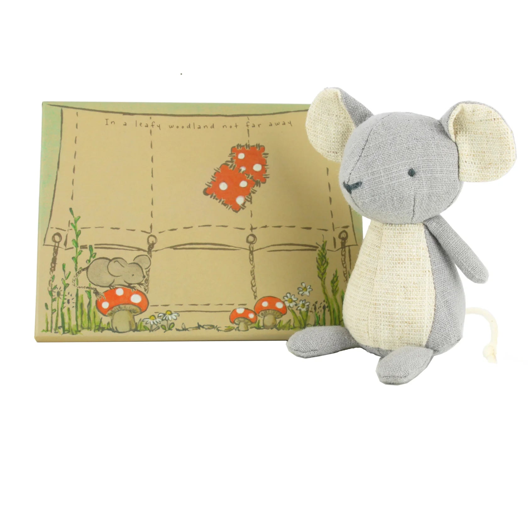 Nutshell Mouse in a Tent Box