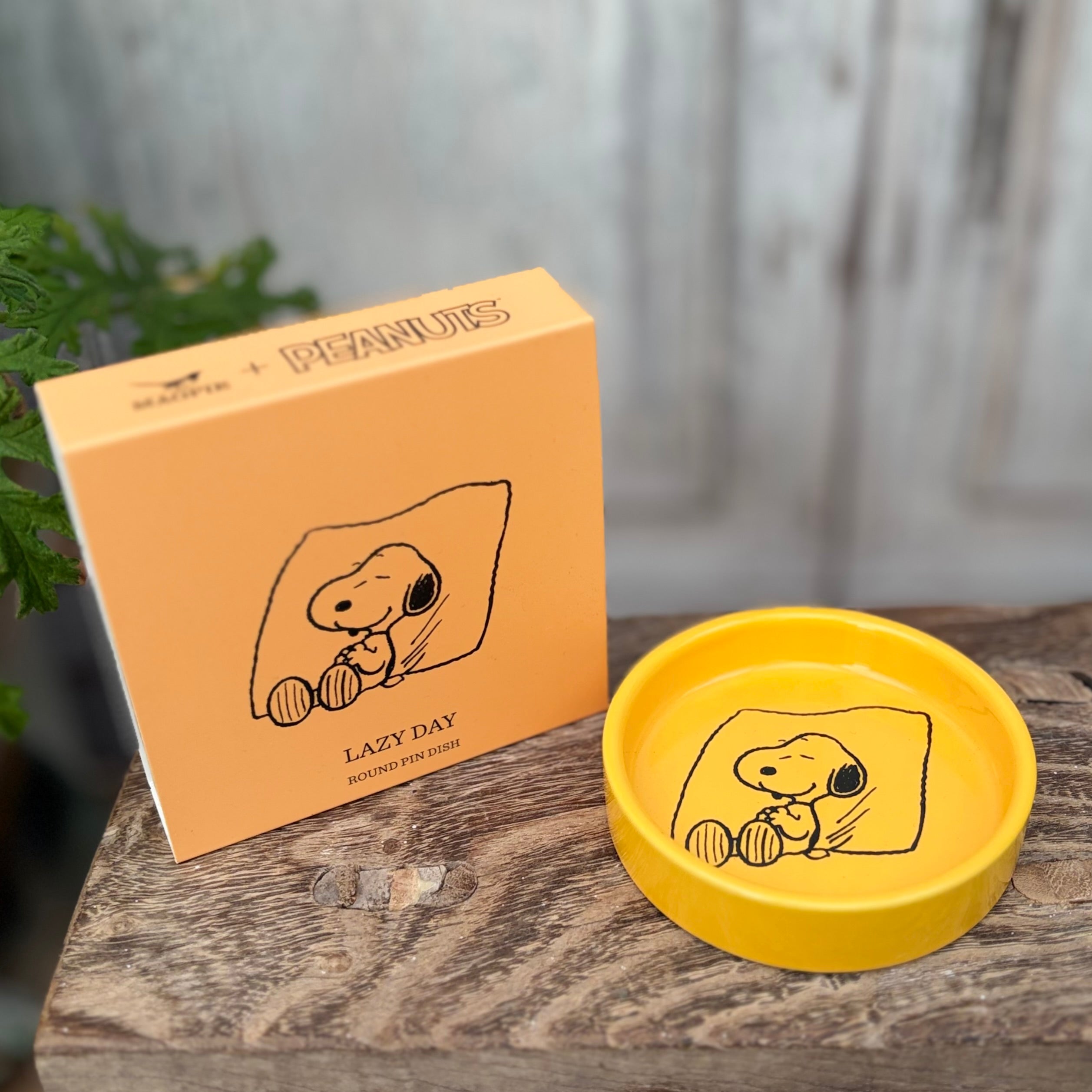 Peanuts Pin Dish ~ Lazy Day