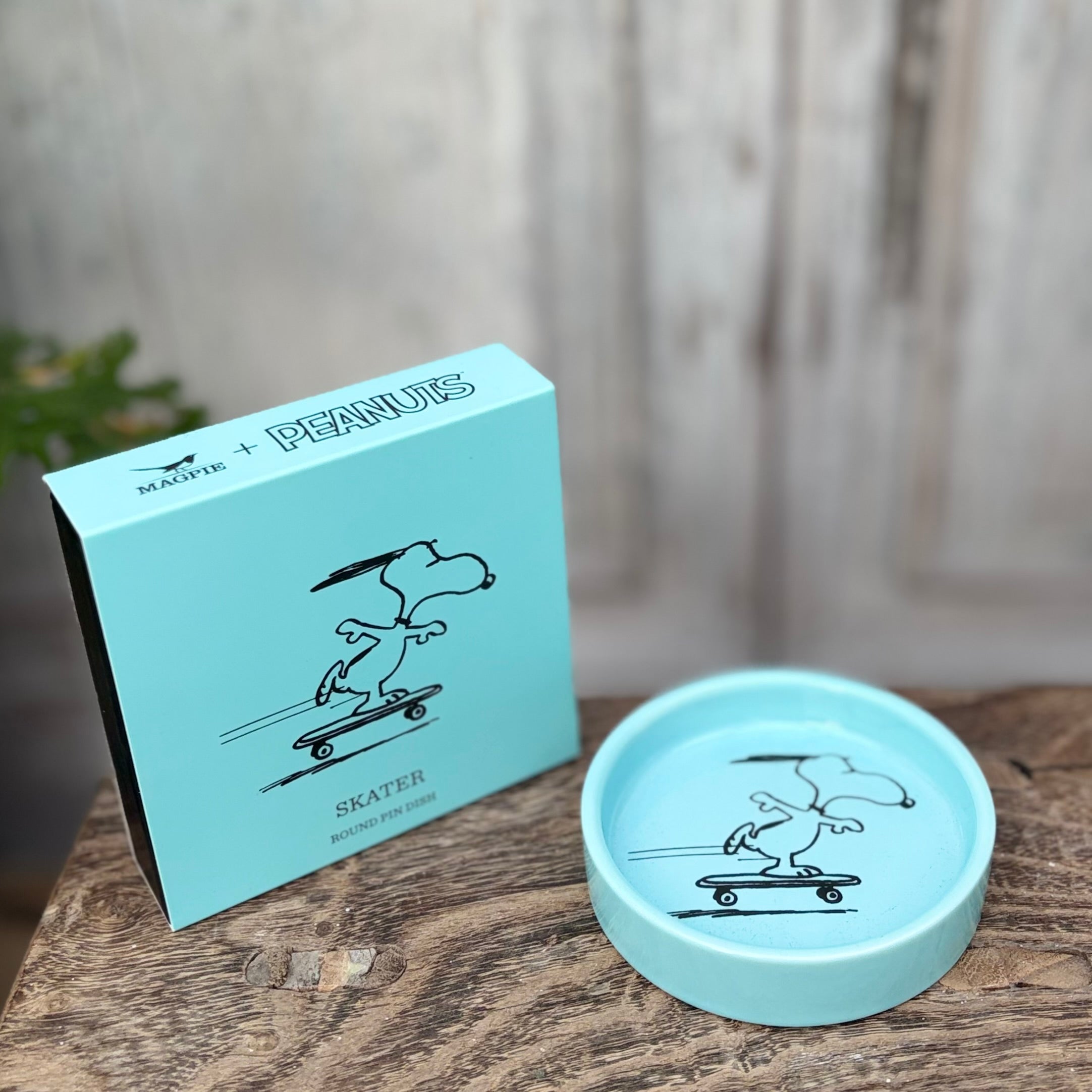 Snoopy Pin Dish ~ Skater