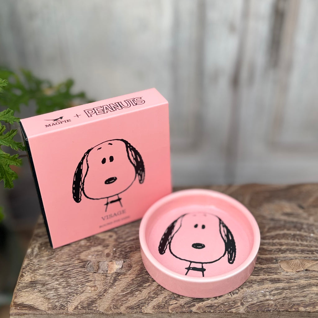 Snoopy Pin Dish ~ Visage
