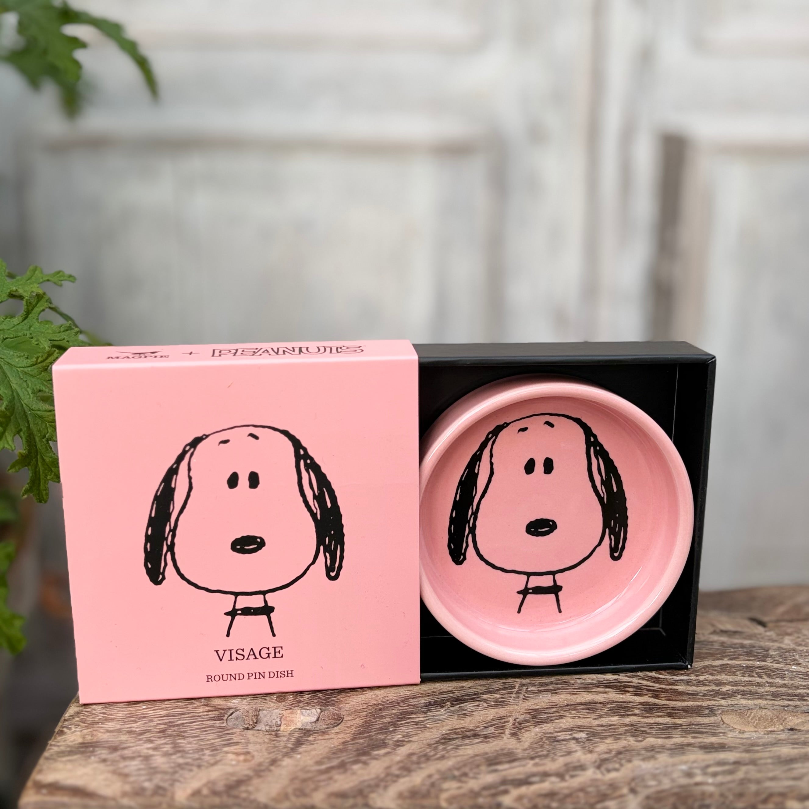 Snoopy Pin Dish ~ Visage