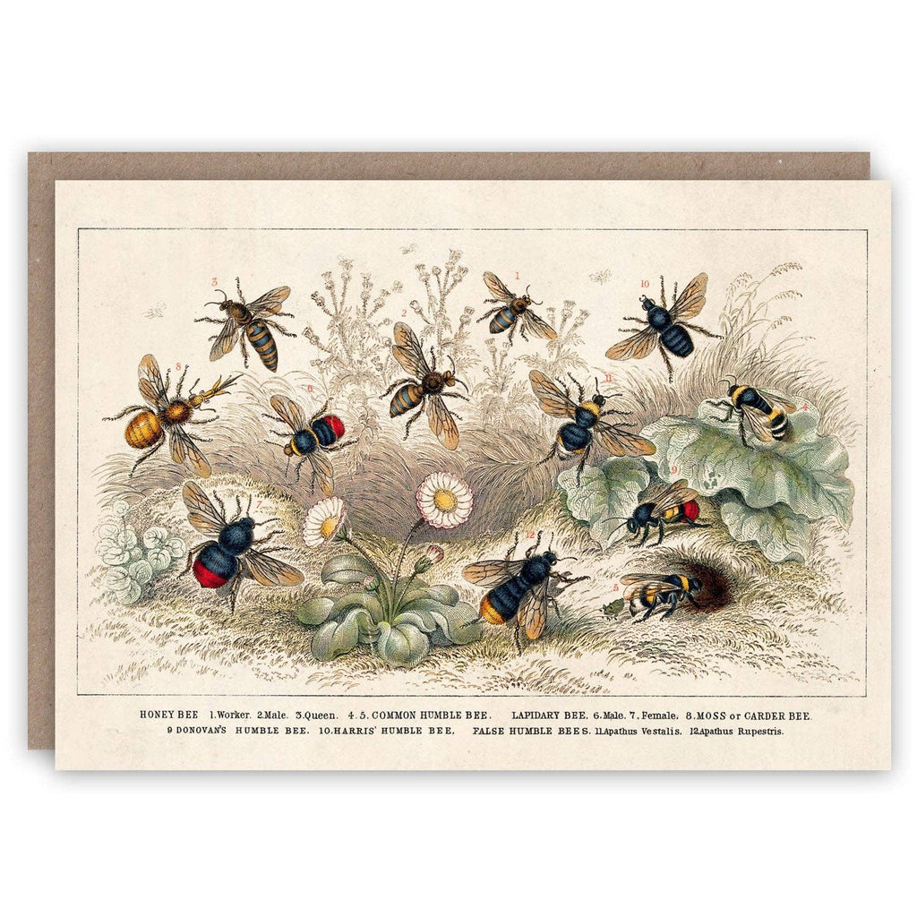 The Pattern Book Greetings Cards